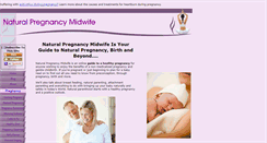 Desktop Screenshot of natural-pregnancy-midwife.com